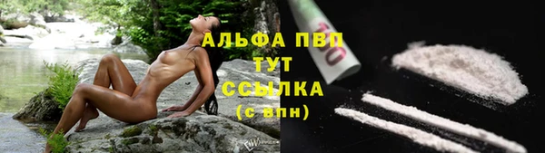 тгк Саяногорск