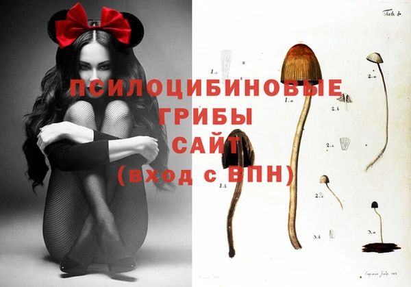 спиды Армянск