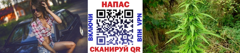 Бошки марихуана Amnesia  как найти наркотики  мега вход  Дыгулыбгей 